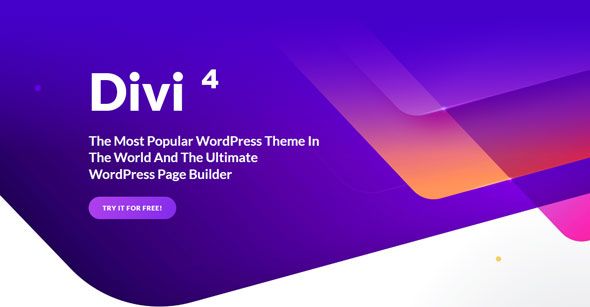 Divi theme